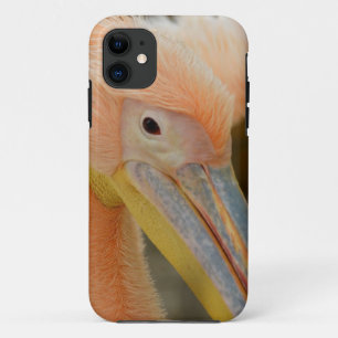 FUNDA IPhone 5 Viendo a Pelican