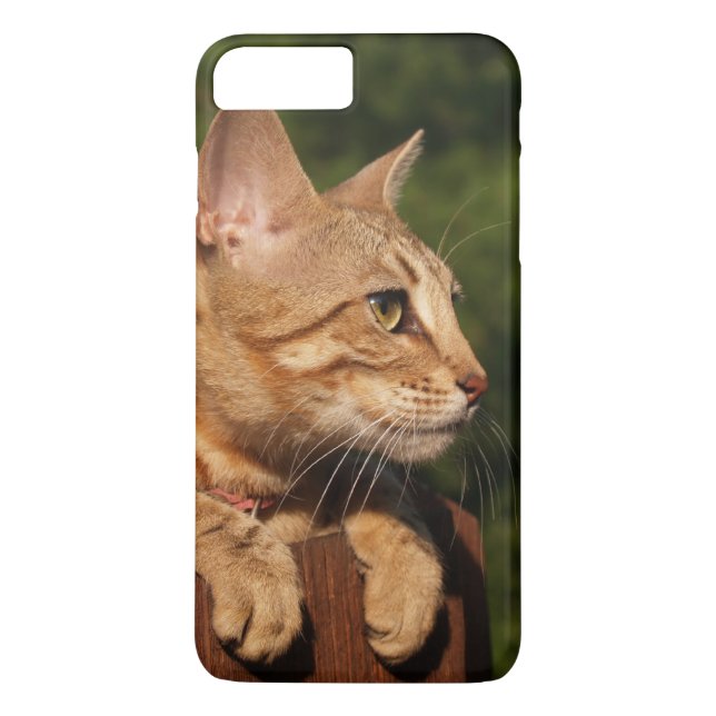 Funda-Mate Apenas Ahí Más iPhone 7 Funda Kitten (Reverso)
