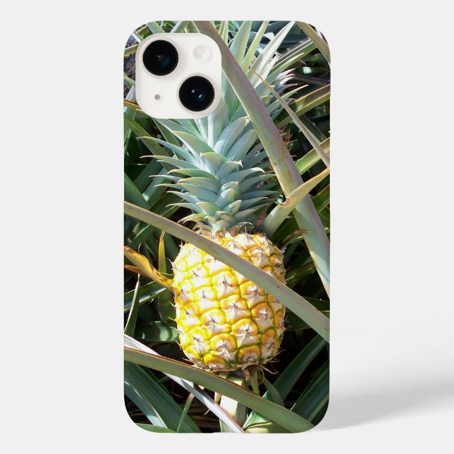 Funda Maui Gold Hawaii Pineapple i iPhone 14 (Reverso )