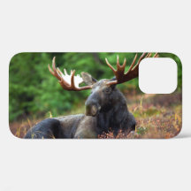Funda Moose iPhone 12