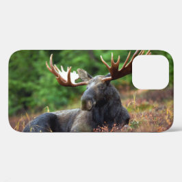 Funda Moose iPhone 12