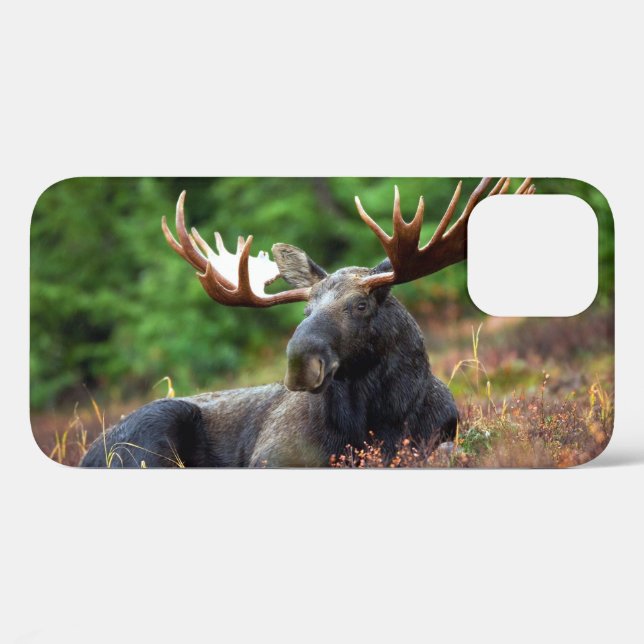 Funda Moose iPhone 12 (Reverso (Horizontal))
