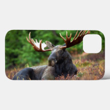 Funda Moose iPhone 13