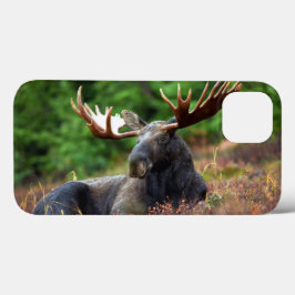 Funda Moose iPhone 13