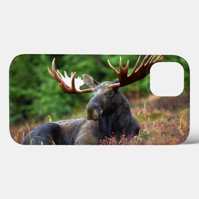 Funda Moose iPhone 13 (Reverso (Horizontal))