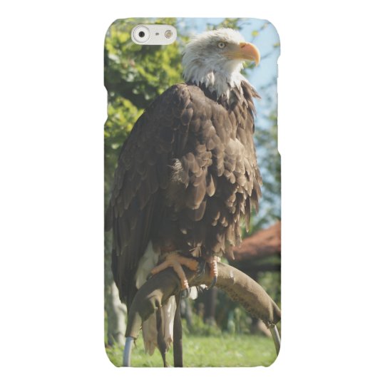 Funda movil iPhone 6