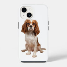 Funda para Apple iPhone 14 con King Charles Cavali