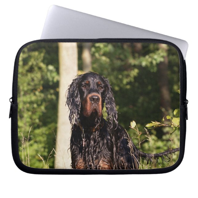 Funda para computadora portátil Wet Gordon Setter (Frente)