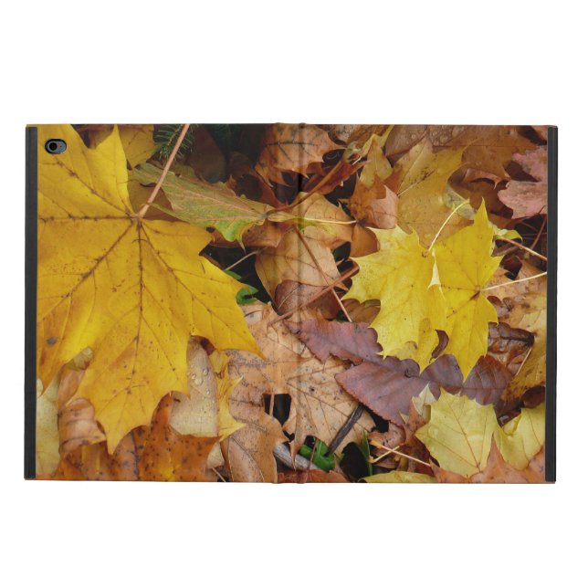 Funda Para iPad Air 2 Maple caído deja naturaleza otoño amarilla (Afuera)