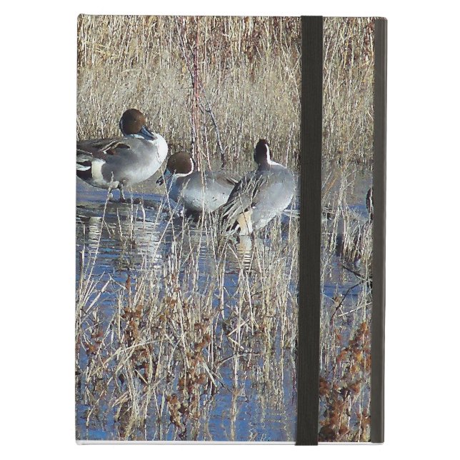Funda Para iPad Air iCase de Powis de los patos (Anverso)