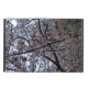 Funda Para iPad Air 🌸 ↷ Impresionante Cherry Blossom Tree iPad Estuch (Exterior)