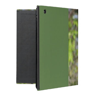 Funda Para iPad Petirrojo Redbreast