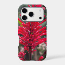 Funda para iPhone17 pro con Odontonema