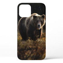 Funda para iPhone 12 de oso