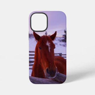 Funda para iPhone 12 Mini Tucker en la nieve