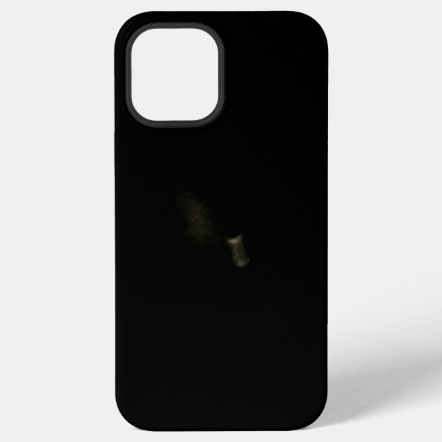 Funda para iPhone 12 pro max (Reverso )