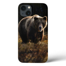 Funda para iPhone 13 de oso