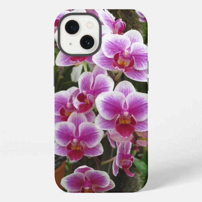 Funda para iPhone 13 Phalaenopsis Rosa (Reverso )
