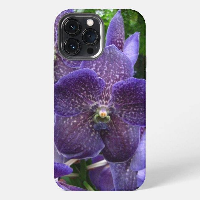 Funda para iPhone 13 Pro Max Purple Vanda (Reverso )