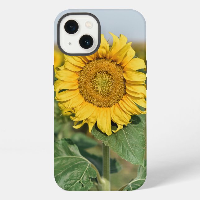 Funda para iPhone 13 Sunflower (Reverso )