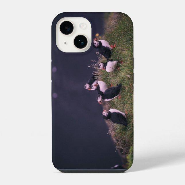 Funda para iPhone 14 de frailecillos atlánticos (Reverso )