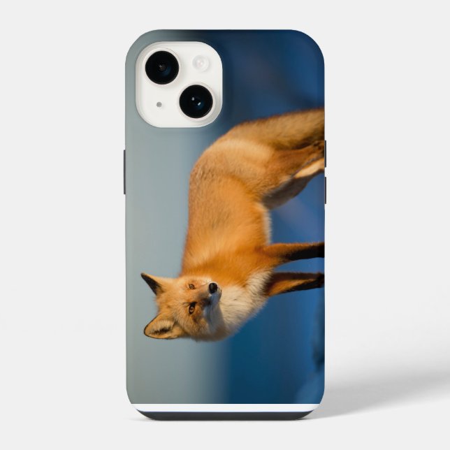 Funda para iPhone 14 de zorro marrón (Reverso )