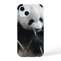 Funda para iPhone 15 de Panda Adorable