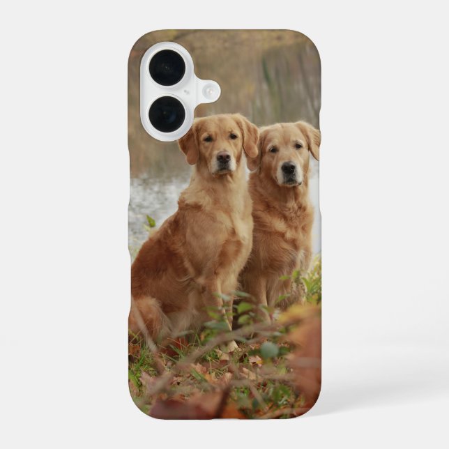 Funda Para iPhone 16 Amigos Retriever (Reverso )