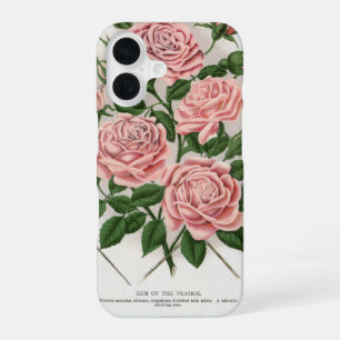 Funda Para iPhone 16 Arte Botánico Cottagecore de Rosa Rosa Antigua
