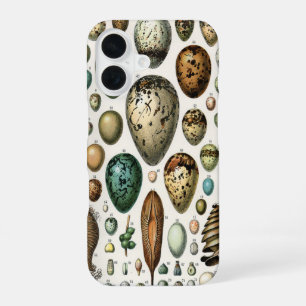 Funda Para iPhone 16 Arte de huevo de ave de Adolphe Millot Dark Academ