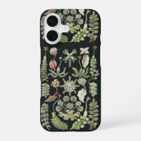 Arte de la Naturaleza Científica Ernst Haeckel Hep