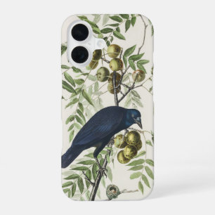 Funda Para iPhone 16 Arte de la naturaleza del cuervo americano Audubon