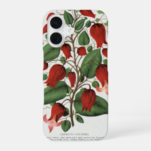 Funda Para iPhone 16 Arte Floral Rojo Vintage Clematis Coccinea