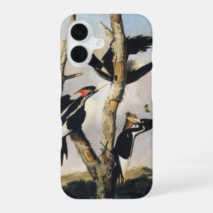 Funda Para iPhone 16 Arte vintage de Carpintero de Pico de Marfil de Au