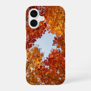 Funda Para iPhone 16 Autumn Canopy Fall Aesthetic Phone Case