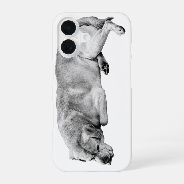 Funda Para iPhone 16 Bolsillo con porte (Reverso )