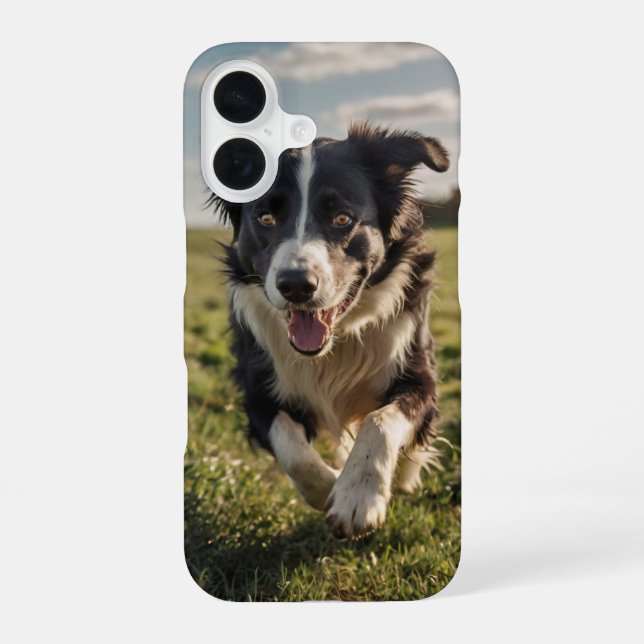 Funda Para iPhone 16 Border Collie Pastoreando (Reverso )
