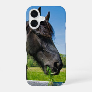 Funda Para iPhone 16 Caballo frisón negro