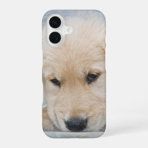 Funda Para iPhone 16 Cachorro de Golden Retriever