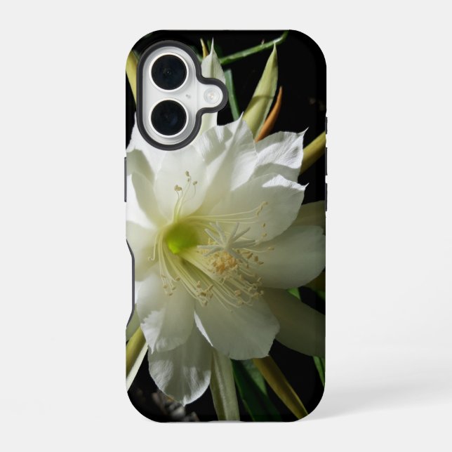 Funda Para iPhone 16 Cactus Bloom (Reverso )