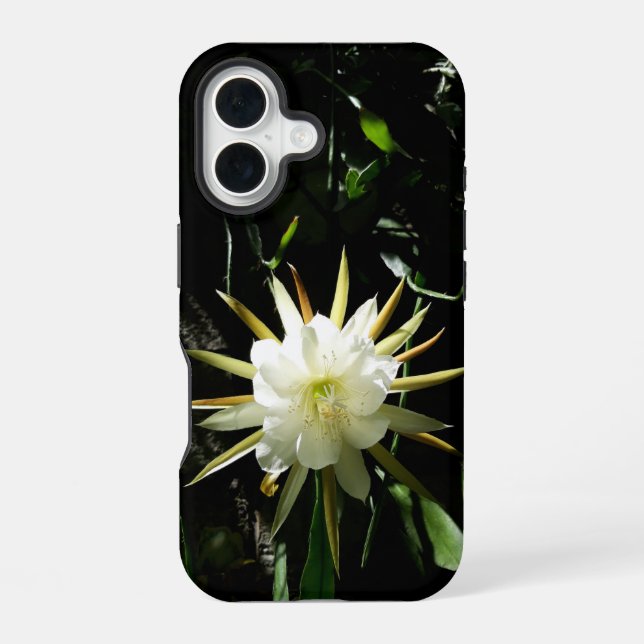 Funda Para iPhone 16 Cactus Bloom (Reverso )