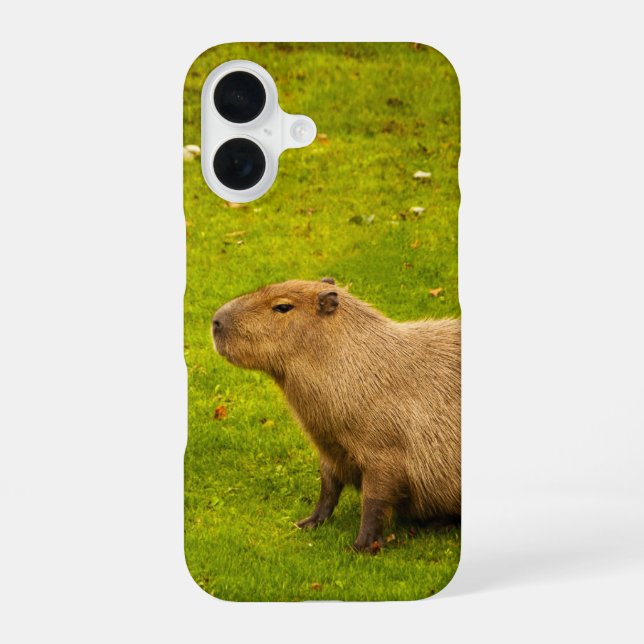 Funda Para iPhone 16 Capibara (Reverso )