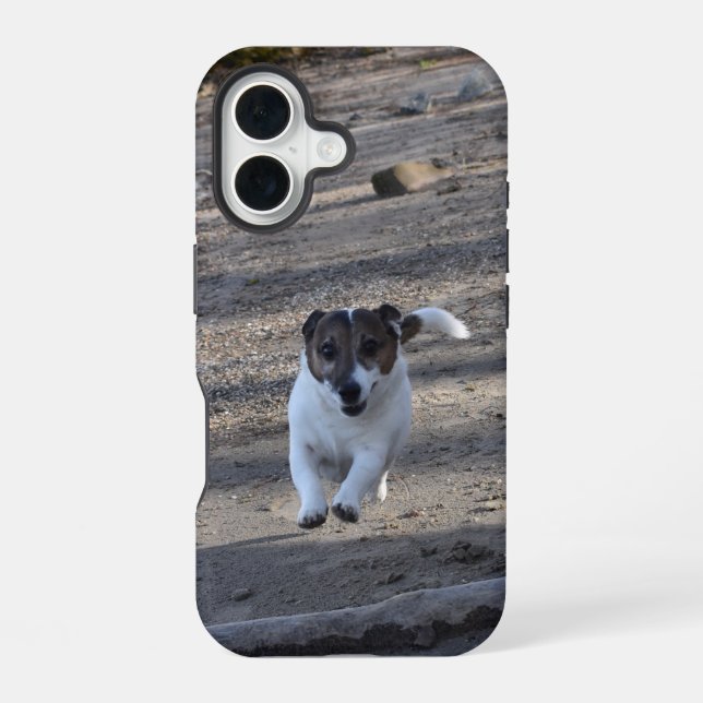 Funda Para iPhone 16 Capo von Oppenheim, Jack Russell Terrier Dog (Reverso )