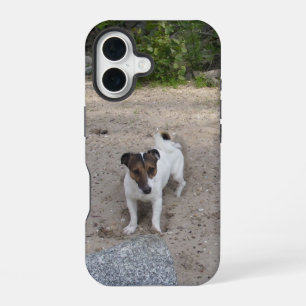 Funda Para iPhone 16 Capo von Oppenheim Jack Russell Terrier, Perro