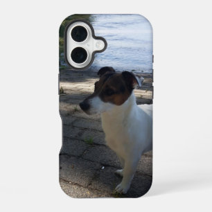 Funda Para iPhone 16 Capo von Oppenheim, perro Terrier Jack Russell
