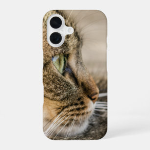 Funda Para iPhone 16 Cara de gato atigrado en primer plano