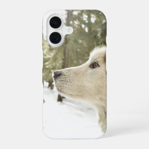 Funda Para iPhone 16 Cara de Malamute en Bosques Nevados