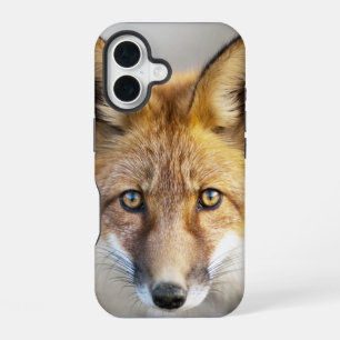 Funda Para iPhone 16 Cara de zorro rojo, primer plano