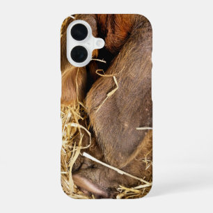 FUNDA PARA iPhone 16 CERDOS