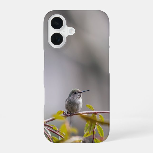 Funda Para iPhone 16 Colibrí 3346 (Reverso )